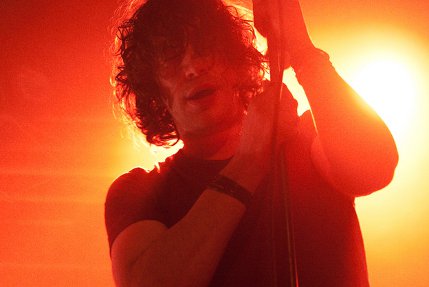 the wombats
